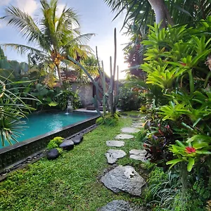 buda-amitaba.ubudhotelsnow.com/